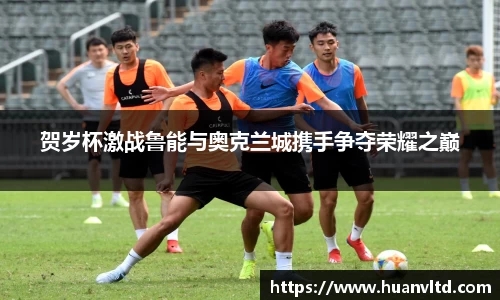 中欧体育平台